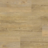 Bondi Beach dryback naturel dryback