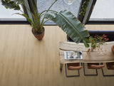 Floor life Merton dryback light oak