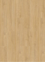 Gelasta Oakland 6102 (dryback) Desert