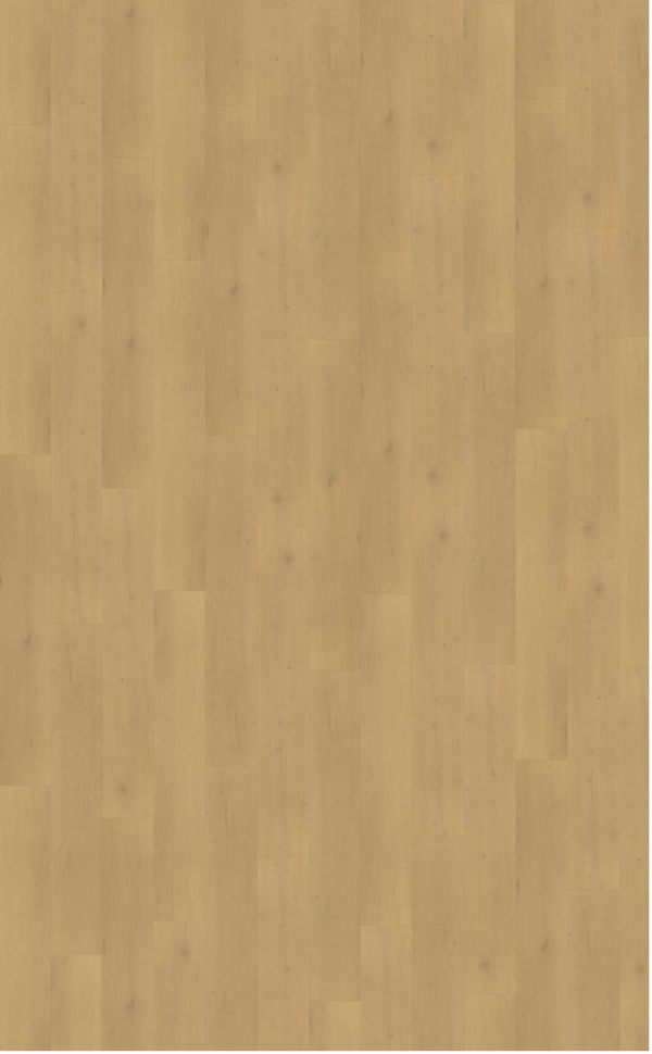 Belakos PVC palazzo 770