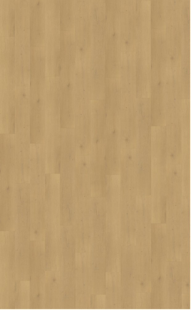 Belakos PVC palazzo 770