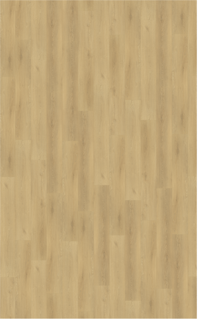 Belakos PVC palazzo 730